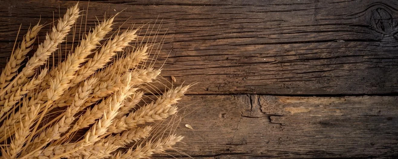Bundles of golden wheat resting on a rustic wooden surface, showcasing grain details and texture