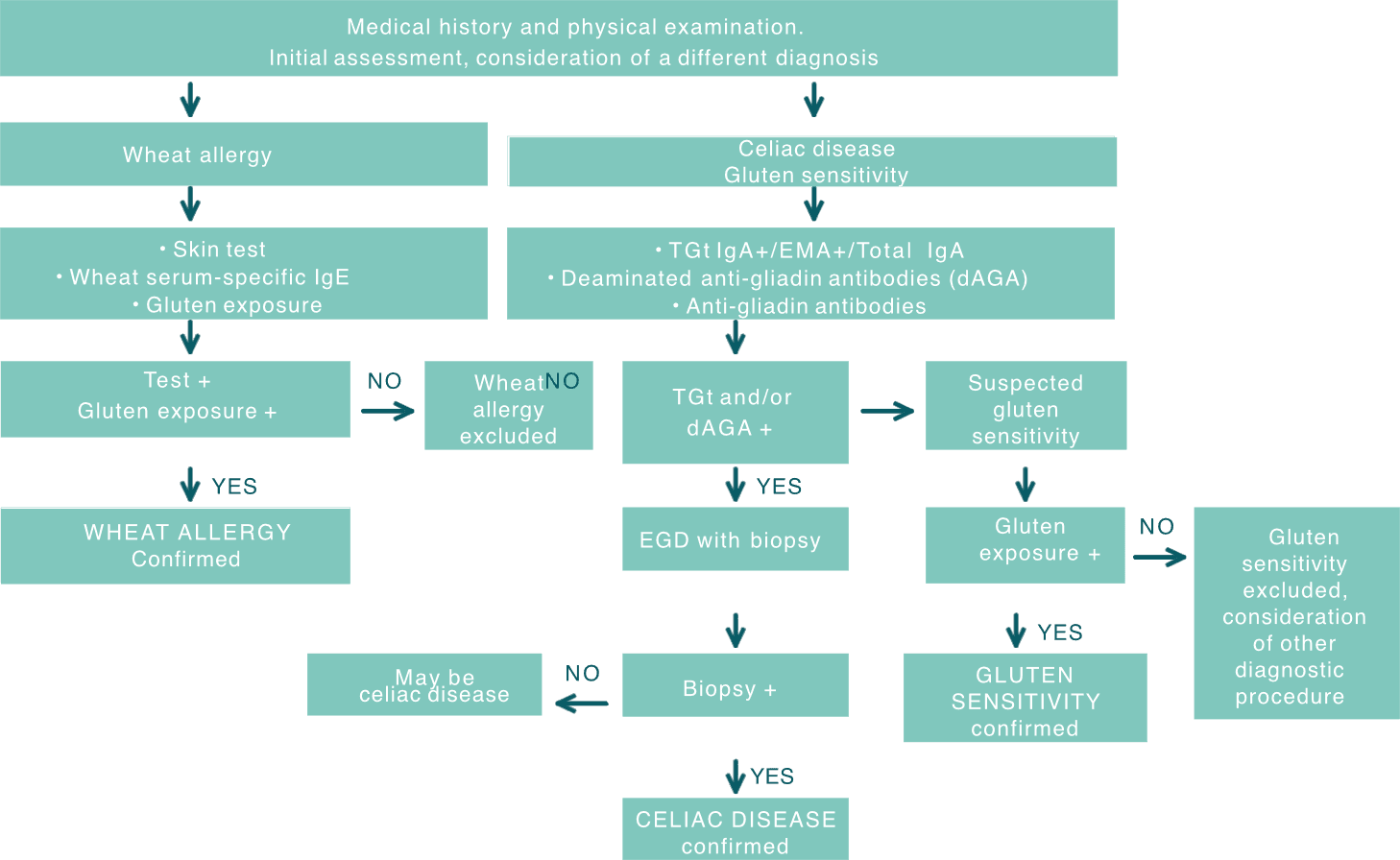 Diagnoseweg Zölliakie