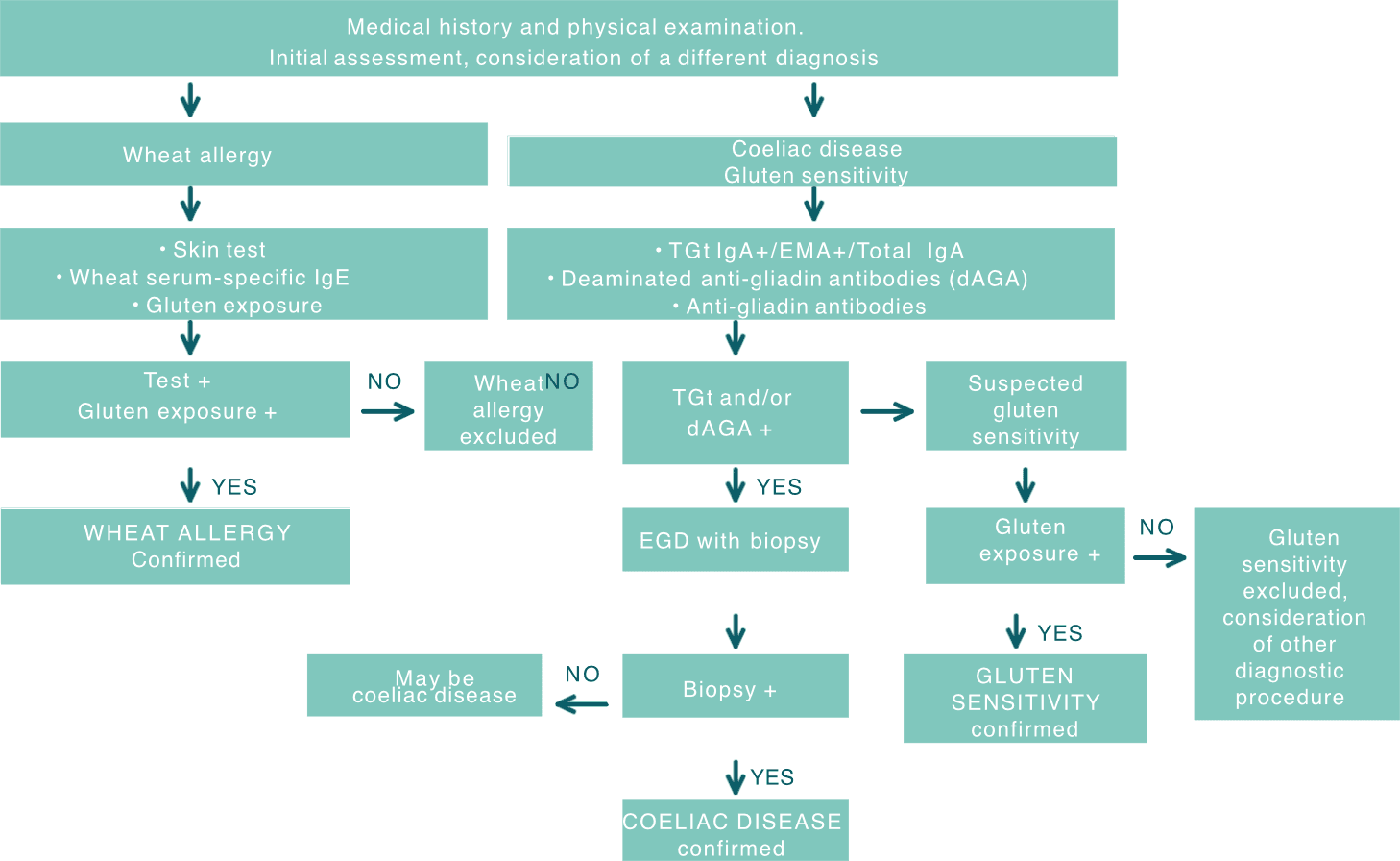 Diagnoseweg Zölliakie