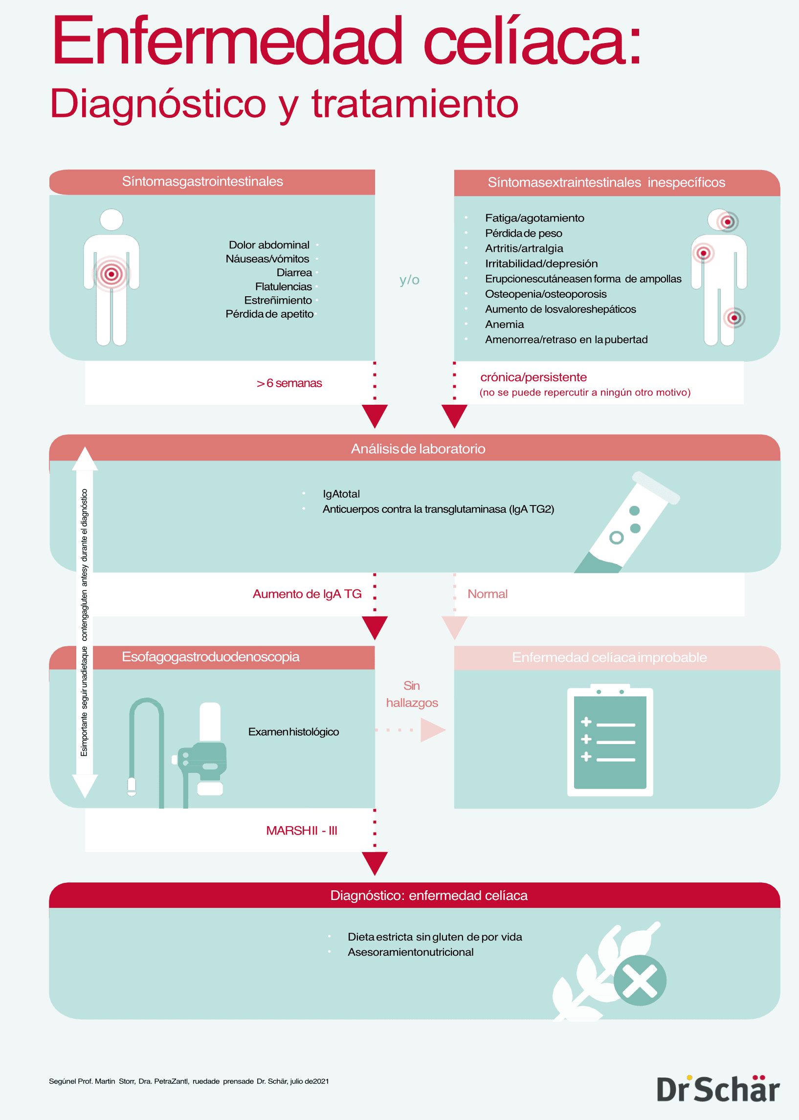 Schritte zur Zölliakie Diagnose