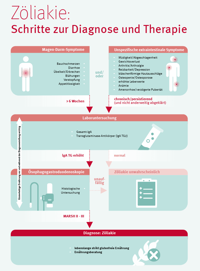 Schritte zur Zölliakie Diagnose